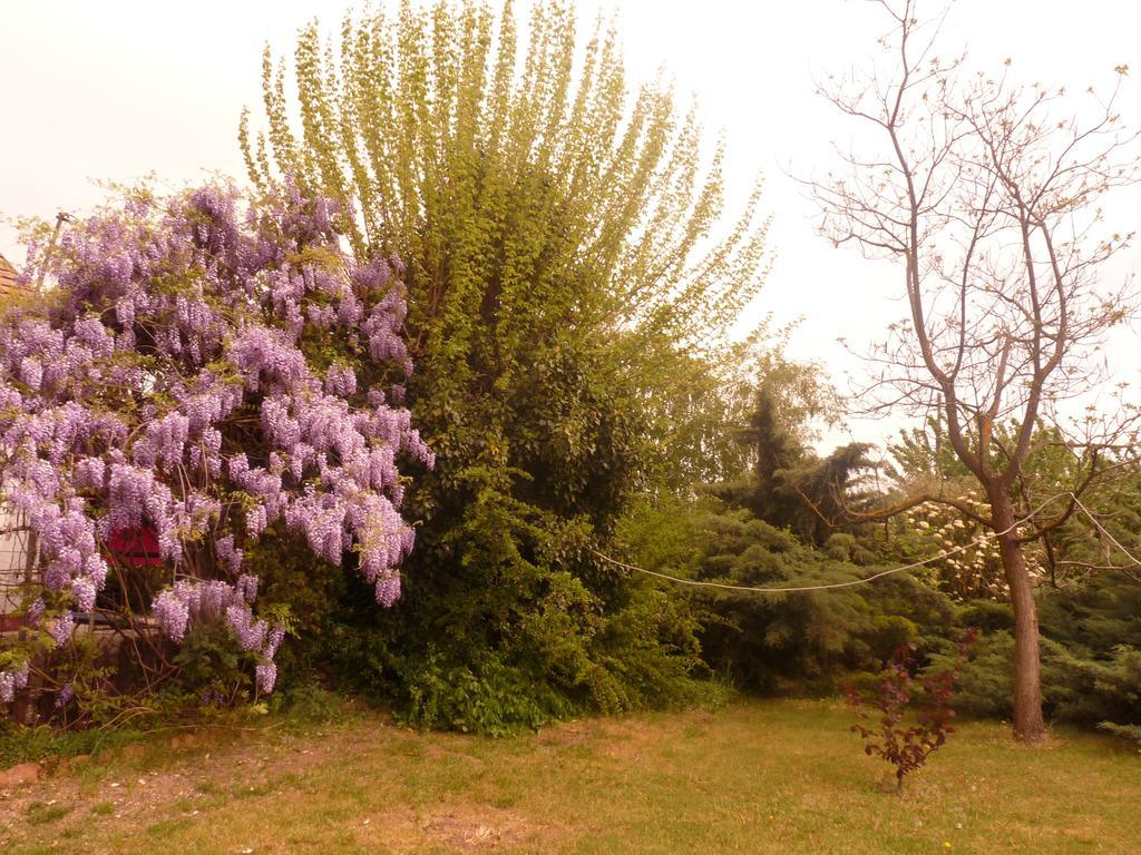 Dobo Tanya Villa Roszke Luaran gambar
