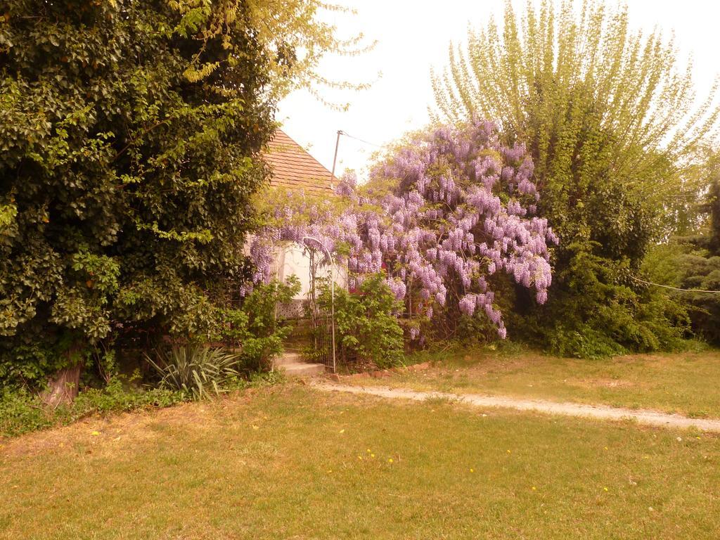 Dobo Tanya Villa Roszke Luaran gambar