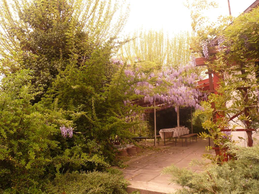 Dobo Tanya Villa Roszke Luaran gambar