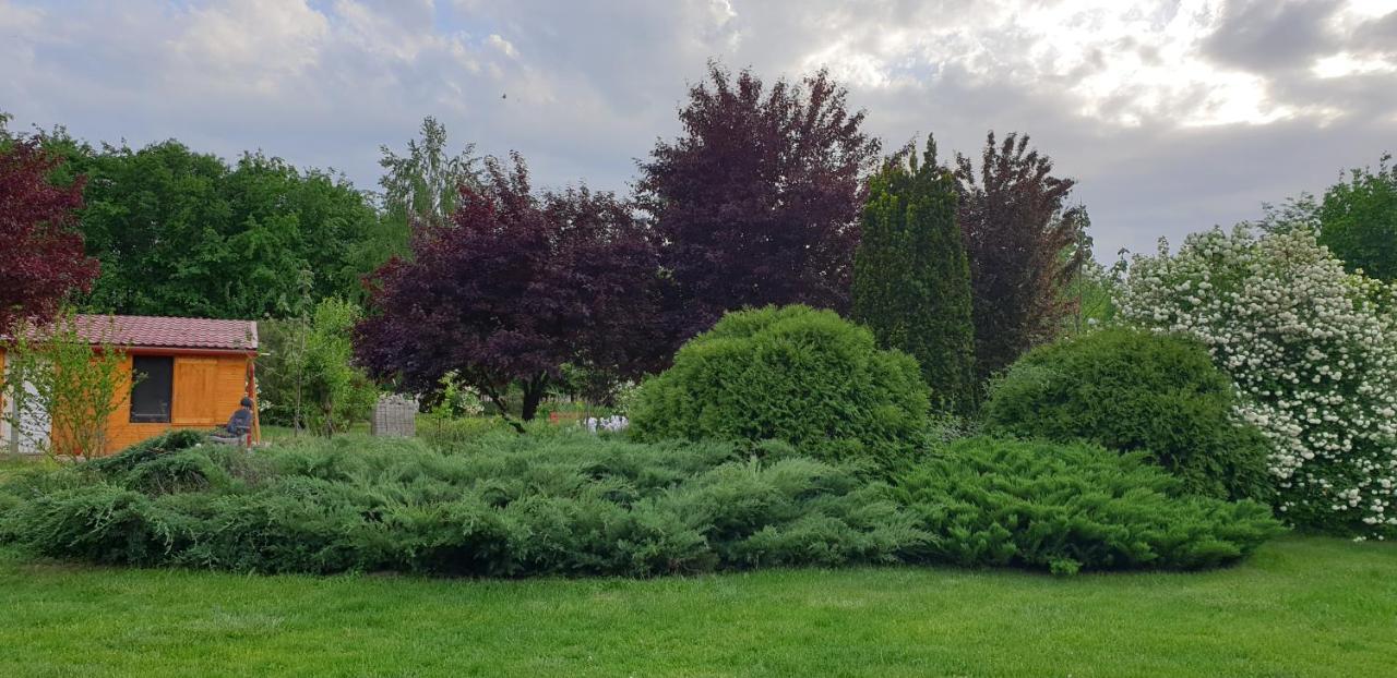 Dobo Tanya Villa Roszke Luaran gambar