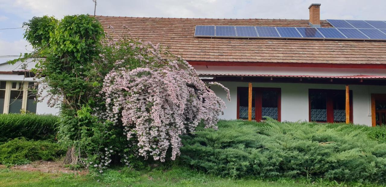 Dobo Tanya Villa Roszke Luaran gambar