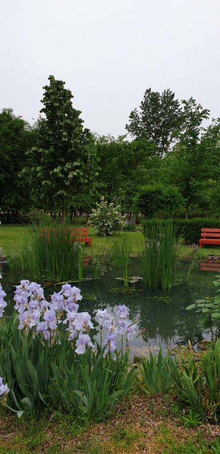 Dobo Tanya Villa Roszke Luaran gambar